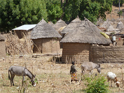 Village africain